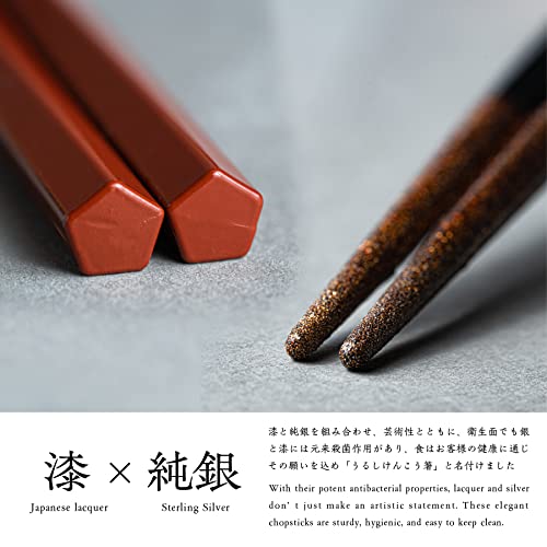 Kasyou Studio chopsticks made in Japan, Single, Dishwasher safe Red