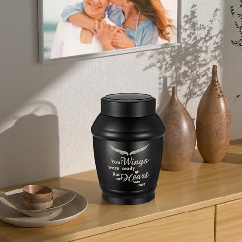 SOITIS 5.5" Wings Urns for Ashes Medium Urns for Human Ashes for Women Men