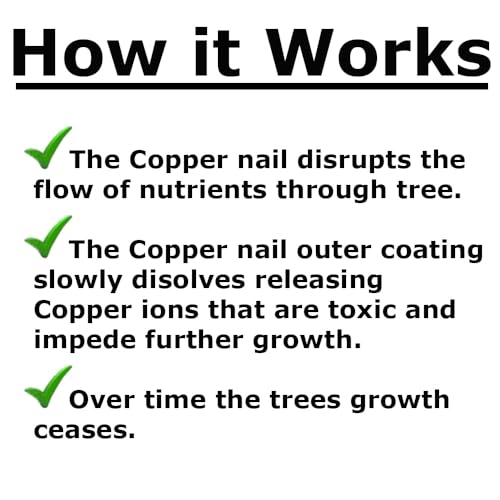 BRAUNY BOY HARDWARE 4-inch copper clad masonry nail spikes for tree and stump regrowth prevention, 25-pack