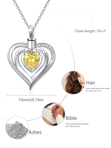 TANGPOET Birthstone Ashes Necklace 925 Sterling Silver Heart Urn Necklace Cremation Jewellery for Ashes Pendant for Women Girls with Funnel Filler Kit 11-Nov