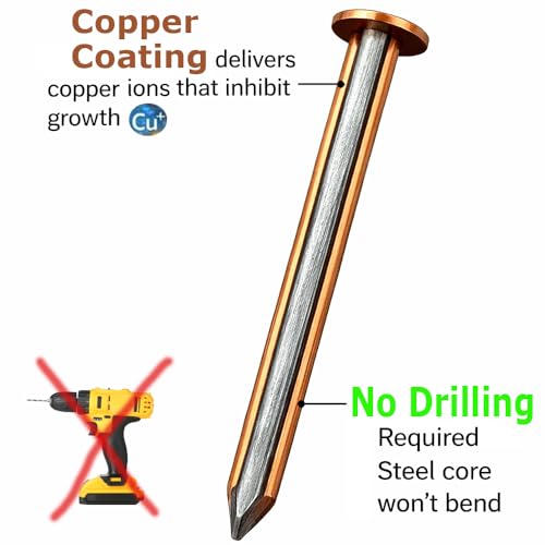 25 copper clad masonry nails, 4-inch tree and stump killing spikes by BRAUNY BOY HARDWARE