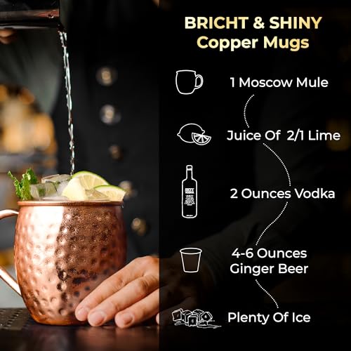 Moscow Mule Mugs, 4pcs Set of 16oz Copper Cups, Handcrafted Traditional Design, Gift Set with Straws, Spoon, Cleaning Brush & Shot Glass, Insulated, Reusable