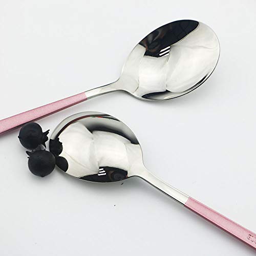 JASHII 20-Piece SUS304 Stainless Steel Flatware Set, Mirror Polishing Dinnerware Set Service for 4, Knife/Fork/Spoon/Dessert Spoon/Dessert Fork (Pink silver) Pink silver