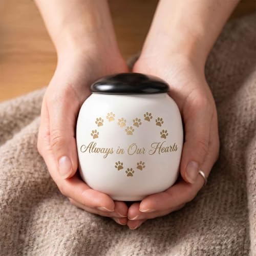 Pet Urn for Dog Cat Ashes, Always in Our Hearts Keepsake Urns Eternal Paw Hearts