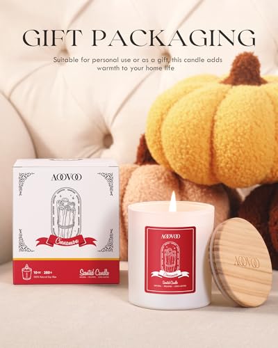 AOOVOO Cinnamon Scented Candles for Women - Aromatherapy Candle with Crystals Inside, 10oz Soy Candles for Home Scented, Birthday Gifts Valentines Day Candle for Women Mom Cinnamon Candles