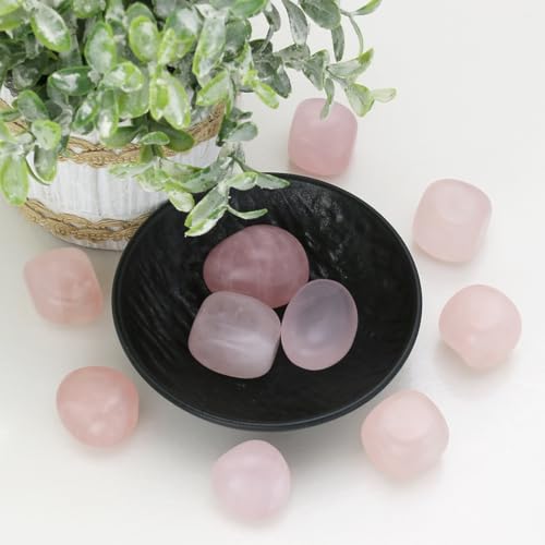 Rose Quartz Crystals Stone, Polished Stones & Rocks, Natural Healing Crystals for Chakra Balancing, Meditation, Spiritual Decor, Tumbled Stones for Energy, Reiki,Gifts (0.5LB) Rose