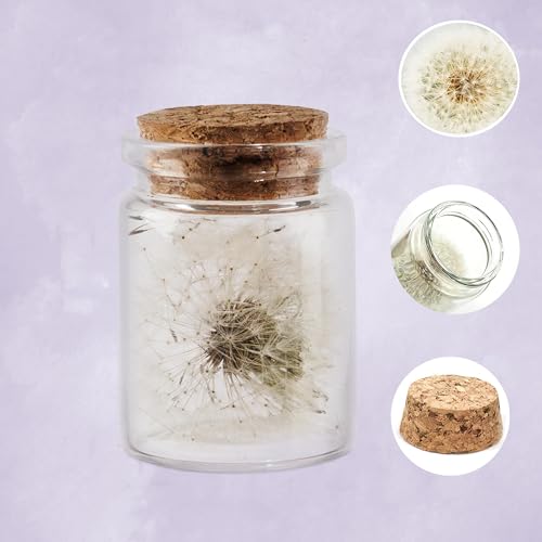 Shirene Real Dandelion In A Glass, Dandelion Gift Handmade Spiritual Gifts For Women, Girlfriend, Birthday, Mother's Day, Mum, Kids, Best Friend