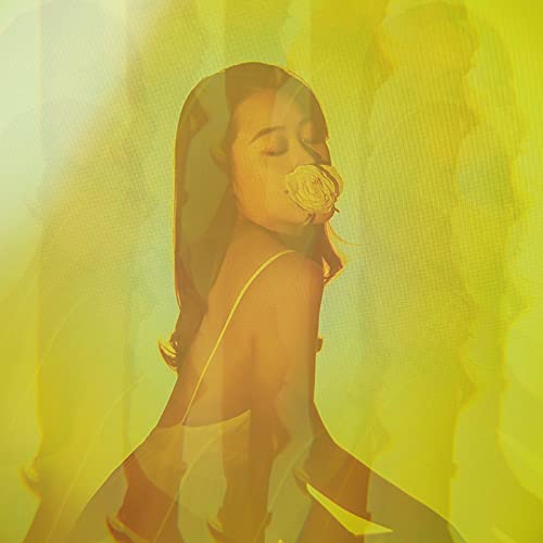 Kaleidoscope Prism 77mm Camera Lens Effect Filters Fractal Photography for Photography Creation Repeating Subjects - Perfect Photographer Gift Kaleidoscope Filter