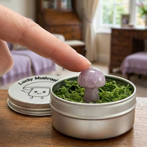Amethyst Crystal Mushroom in Tin Box, Emotional Support Mushroom,Healing Crystal Gifts for Women, M-ushroom Trinkets & Gifts, Spiritual G-ift Set with Positive Affirmation