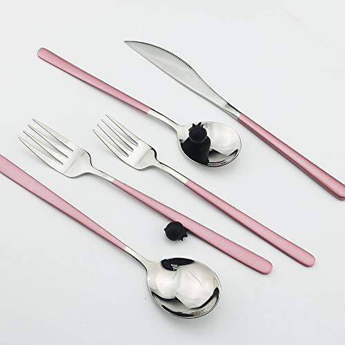 JASHII 20-Piece SUS304 Stainless Steel Flatware Set, Mirror Polishing Dinnerware Set Service for 4, Knife/Fork/Spoon/Dessert Spoon/Dessert Fork (Pink silver) Pink silver