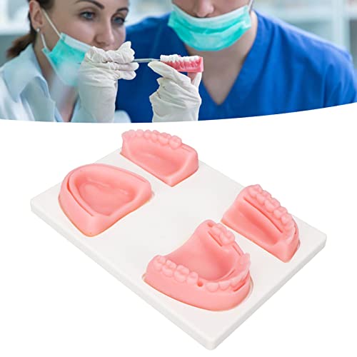 Fyearfly Oral Suture Training Set, Dental Suture Exercise Set, Dental Suture Practice Kit, Silicone Model Pliers, Tweezers, Thread Oral Suture Training Kit for Suture Training in Dentistry