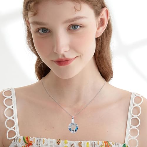 zeqingjw Cat Cremation Jewelry Urn Necklace for Ashes for Pet,Funeral Ashes Keepsake Urn Necklace Pendant Memorial Jewellery Silver-Blue