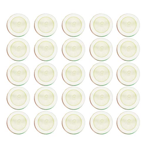 Deschem 33mm 0.45um glass fiber syringe filter, 100-piece pack