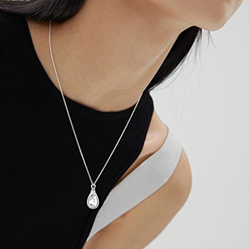 KINGWHYTE Dragonfly Ashes Necklace 925 Sterling Silver Urn Necklace for Ashes Animal Keepsake Cremation Jewelry Memory with Funnel Filler Kit