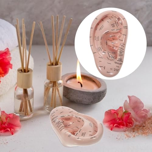 17cm Ear Acupuncture Point Display Model, Soft PVC Ear Acupuncture Point Model for Study of Ear Anatomy and Laboratory Use