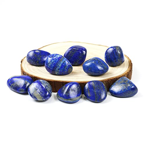 Tumbled Polished Natural Lapis Lazuli Stone, Chakra Stones(10Pcs) Blue