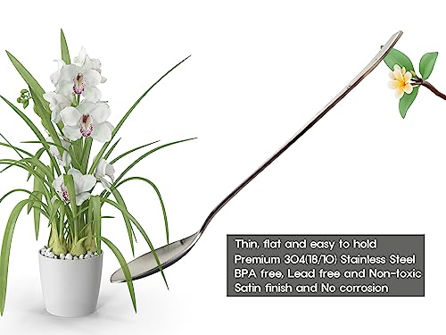 [6 P][Made in Korea] Korean Style Soup Spoon 8.5 inch Premium 304(18/10) Stainless Steel Dessert Spoons Dinner Spoon, Table Spoon, Rice Spoon Ice Cream Scoop (Orchid Painting) Orchid Painting