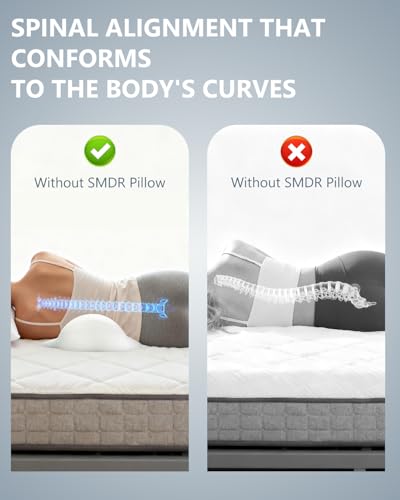 SMDR Ergonomic Lumbar Support Pillow, Dual-Wing Memory Foam Back Cushion for Lower Back Pain Relief & Posture Support (Standard Height), Washable Cover Standard Height