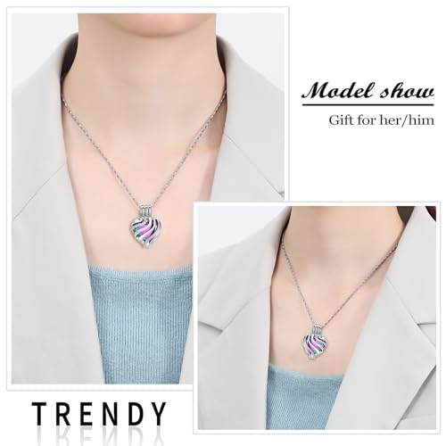 Yinplsmemory Cremation Jewelry Heart Urn Necklace for Ashes for Women Men Rainbow