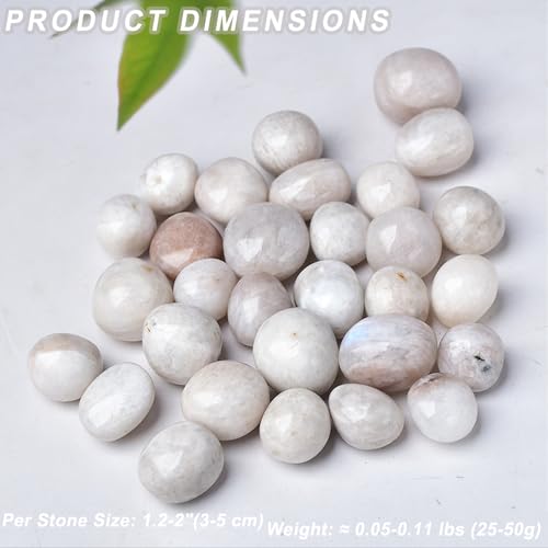 Erliway 1PC White Moonstone Tumbled Crystal, 1.2-2" Healing Crystal Stone