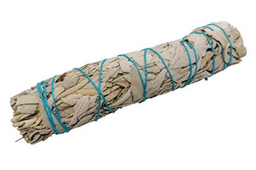 Smudge Stick Kits - Incense - Meditation - Mindfulness - Native American - Spiritual (Abalone, Stand, White Sage and Feather)