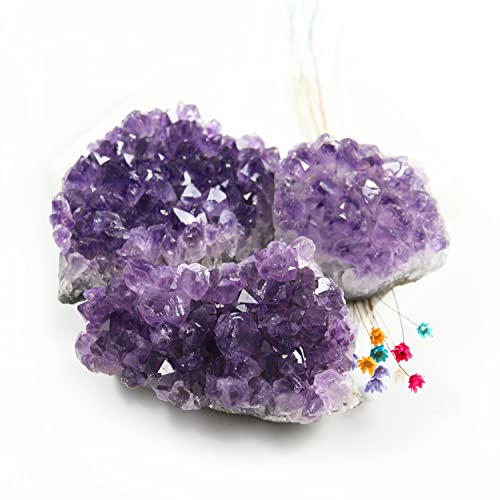 Amethyst Crystals, Amethyst Cluster, Amathesis, Healing Stones(0.2Lb) Purple 0.2 Pound