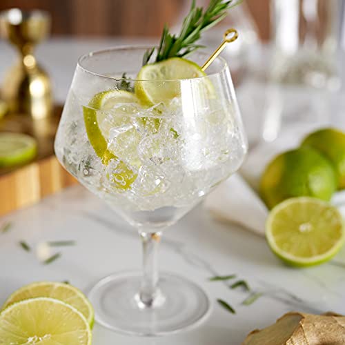 Viski Angled Stemmed Gin & Tonic Glasses, Highball glasses, Cocktail Glasses, Vodka Tonic Glasses, Gin Glasses for Gin Lovers Gift set of 4 14oz