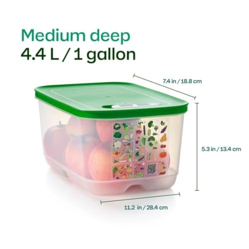 Tupperware Fridgesmart Medium Deep 16 Cup Veggie Container