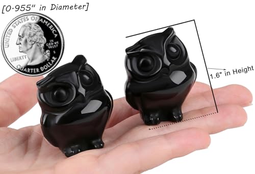 QINJIEJIE Black Obsidian Crystals Owl Figurines Natural Carved Stone Decor B - Black Obsidian 1.6inch