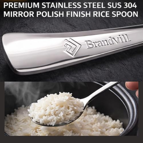 Dinner Spoon, 7.5 Inch Stainless Steel Soup Spoon for Home, Kitchen or Restaurant, Non-toxic & Mirror Polished, Squared Edge & Dishwasher Safe (12 Pcs Spoons) 12 Pcs Spoons