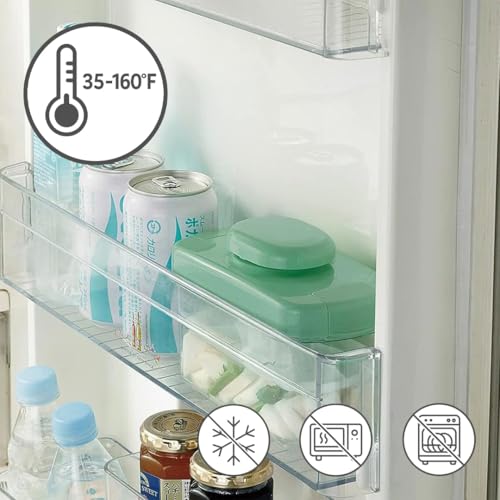 Green TIKUSAN 3.0L BPA-free rectangle vegetable press and pickle maker container for making tsukemono in Japan