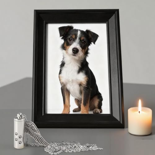 Cylinder Pet Ashes Necklace with Angel Wing, Stainless Steel Dog Urn Pendant for Ashes, Silver Cremation Jewelry Keepsake with Funnel & Pouch, Cat & Pet Memorial Necklace Paw