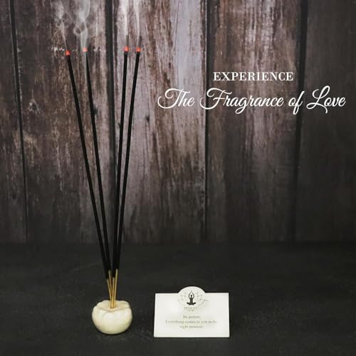 Hosley 40 Pack Incense Sticks – Coconut – Perfect for Home, Meditation & Aromatherapy Coconut-40