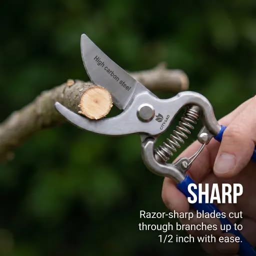 citygad two-pack pruning shears set with 8-inch high-carbon steel blades and ergonomic blue handles