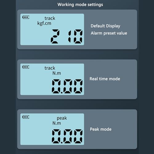 Digital Torque Adapter, High Precision 1/2 Connection, 6 to 200 NM Torsion Adapter with Light Tone Alarm, Digital Torque Wrench