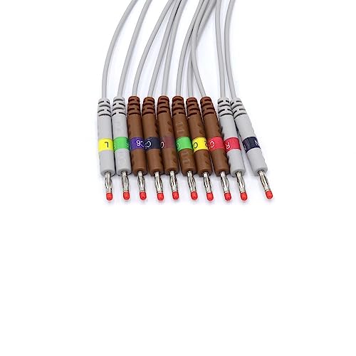 Compatible ECG/ECG Cable for Schiller AT10, AT10 Plus, AT101, AT102, AT102-Plus, AT104, AT110, AT3, AT5, AT6, AT60 10 Cable 9.8 ft IEC Banana 4.0 mm 15 Pins SK1214B