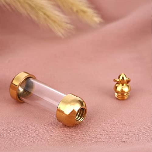 Blood Vial Necklace Stainless Steel Glass Cremation Urn Pendant Necklace for Women Keepsake Memorial Jewelry Gold
