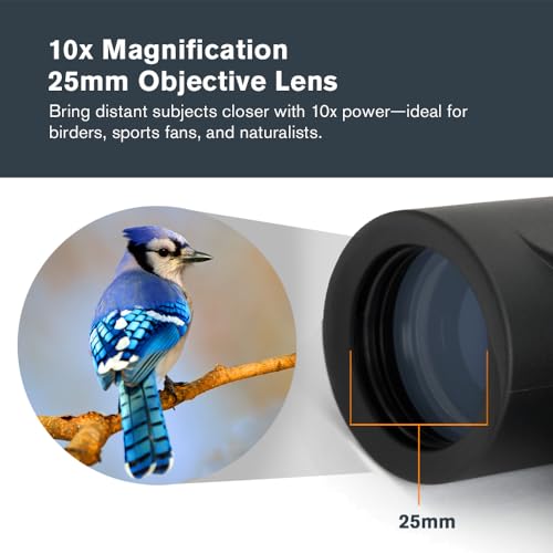 Celestron Outland X 10x25 Compact Binoculars for Hiking & Travel 10x25 Outland X