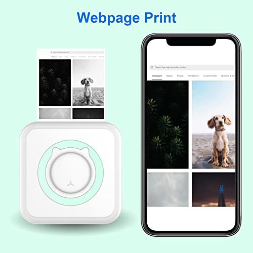 Pocket Printer,Mini Portable Bluetooth Wireless Paper Photo Printer Lechnical All-in-one Photo Printer Multifunction Thermal Printer for Smartphone with 11 Paper Rolls 57mm Compatible with iOS Android Blue