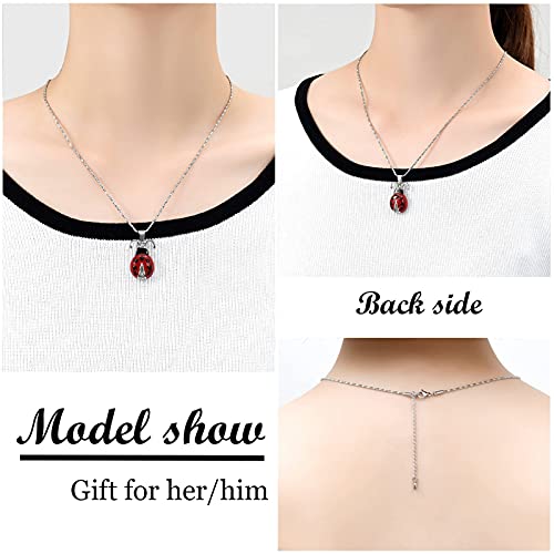 Yinplsmemory Cremation Jewelry Flying Ladybug Urn Necklace for Ashes for Women Stainless Steel Animal Shape Ashes Keepsake Urn Locket Memorial Jewelry Silver with Black