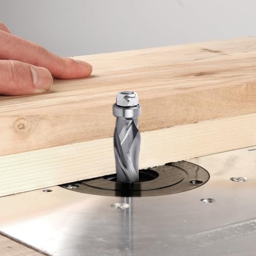 EANOSIC extra-long bottom bearing spiral flush trim router bit with 1/4-inch shank