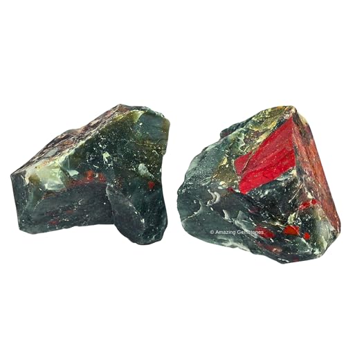 Amazing Gemstone African Bloodstone Raw Crystals and Healing Stones, Natural Rocks for Tumbling and DIY Raw Stones and Crystals (1 lb) 1 Pound