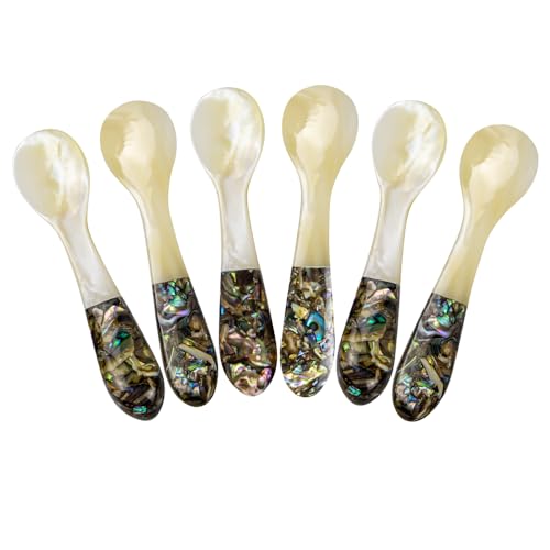 DUEBEL Set of 6 Caviar Spoons of Abalone Handle, 4" Mother of Pearl Spoons for Caviar Serving, Egg Serving, Catering Event Tableware, Restaurant Table Decor