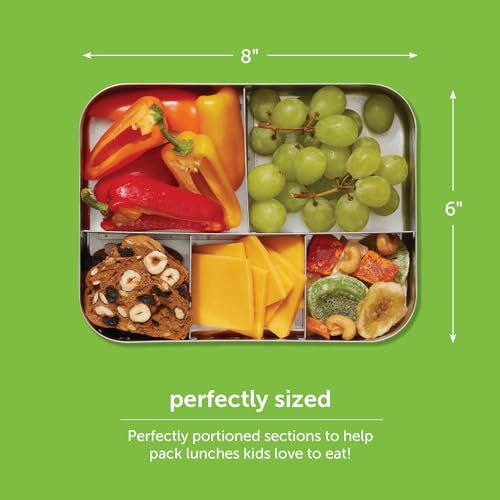 LunchBots Medium Trio Stainless Steel Kids Bento Box 3-Section 32oz 3 Section