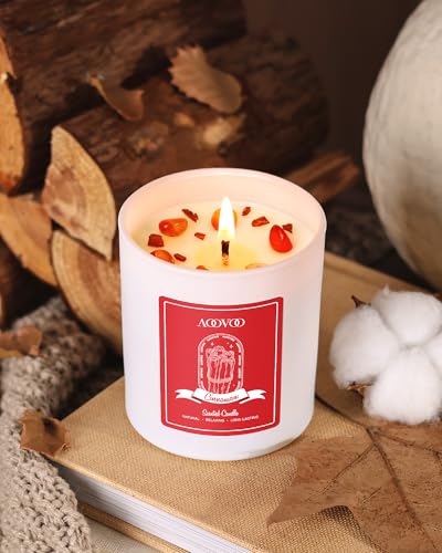 AOOVOO Cinnamon Scented Candles for Women - Aromatherapy Candle with Crystals Inside, 10oz Soy Candles for Home Scented, Birthday Gifts Valentines Day Candle for Women Mom Cinnamon Candles