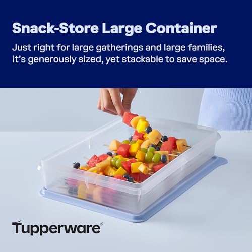 Tupperware Snack-Store Large Container, Dishwasher Safe and BPA Free Container (3.5 L / 14.7 Cups) Rectangular
