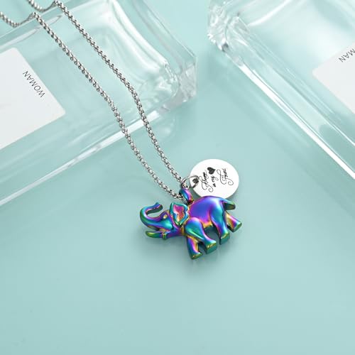 Urn Necklace for Ashes Elephant Cremation Jewelry for Human Pet Ashes Keepsake Memorial Urn Pendant Locket for Women Men Rainbow