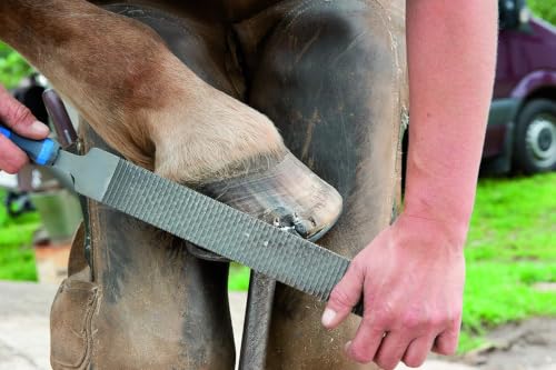 Pferd 3515 350 13180350 Hoof Plane Horse Hoof Plane