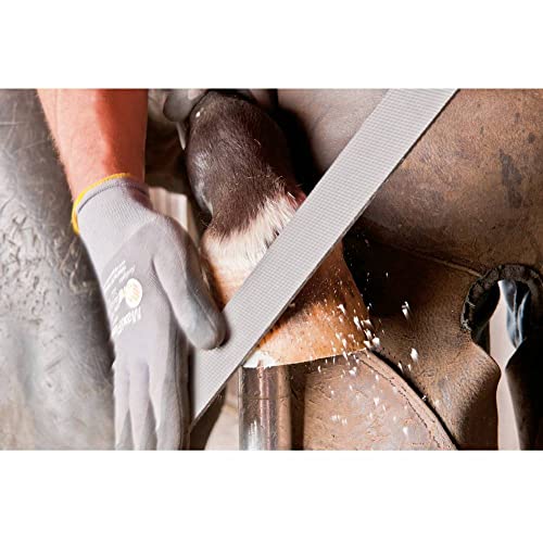 Pferd 3515 350 13180350 Hoof Plane Horse Hoof Plane
