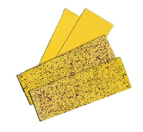 [Australia - AusPower] - SpotOn Water Sensitive Paper (WSP) for Sprayer Calibration - One Pack of 1 x3 Paper - 50 Sheets Per Pack - Reduce Waste and Ensure Consistent Application of Spray Droplets - Assess Spray Coverage 